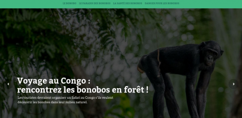 https://www.bonoboscongo.net